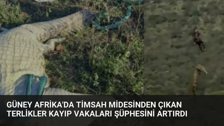 Güney Afrika’da Timsah Midesinden Çıkan Terlikler Kayıp Vakaları Şüphesini Artırdı