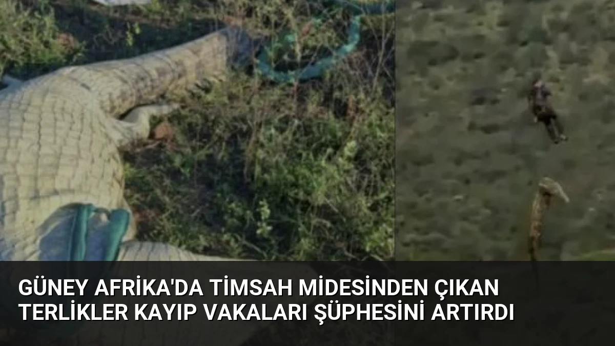 Güney Afrika’da Timsah Midesinden Çıkan Terlikler Kayıp Vakaları Şüphesini Artırdı