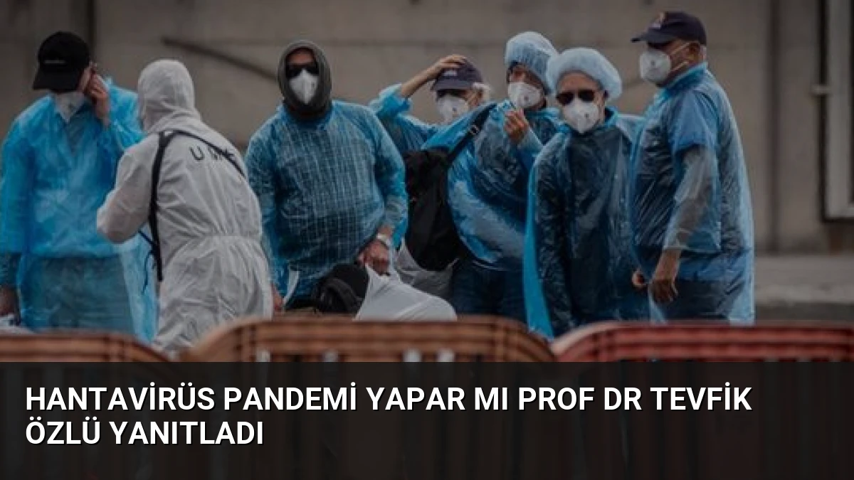 Hantavirüs Pandemi Yapar mı Prof Dr Tevfik Özlü Yanıtladı