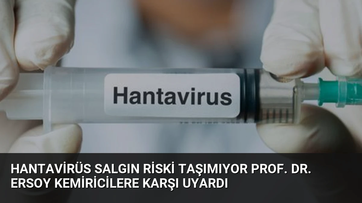 Hantavirüs Salgın Riski Taşımıyor Prof. Dr. Ersoy Kemiricilere Karşı Uyardı