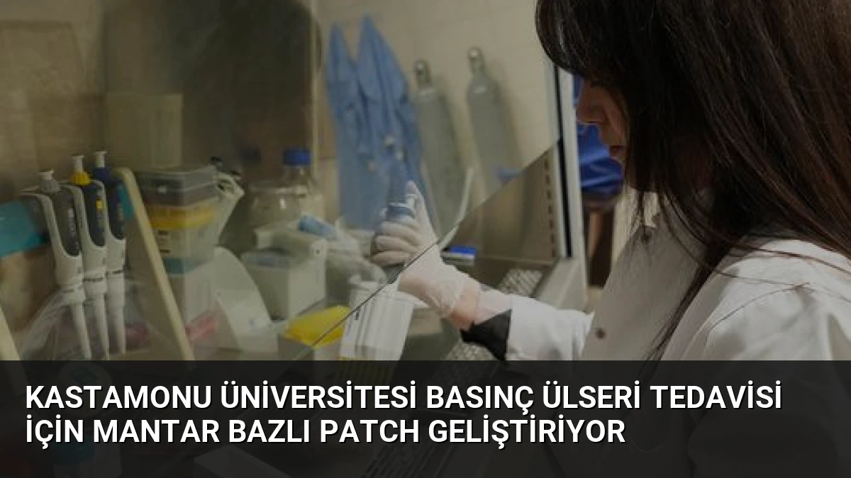 Kastamonu Üniversitesi Basınç Ülseri Tedavisi İçin Mantar Bazlı Patch Geliştiriyor