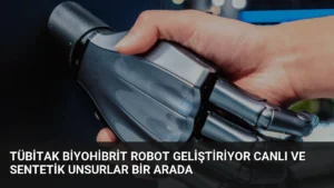 TÜBİTAK Biyohibrit Robot Geliştiriyor Canlı ve Sentetik Unsurlar Bir Arada