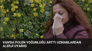 Van’da Polen Yoğunluğu Arttı Uzmanlardan Alerji Uyarısı