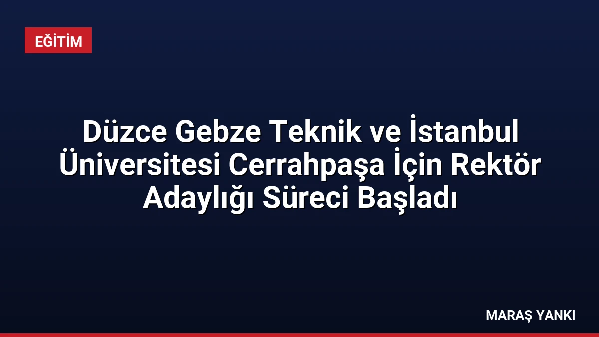 Düzce Gebze Teknik ve İstanbul Üniversitesi Cerrahpaşa İçin Rektör Adaylığı Süreci Başladı