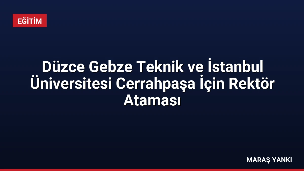 Düzce Gebze Teknik ve İstanbul Üniversitesi Cerrahpaşa İçin Rektör Ataması