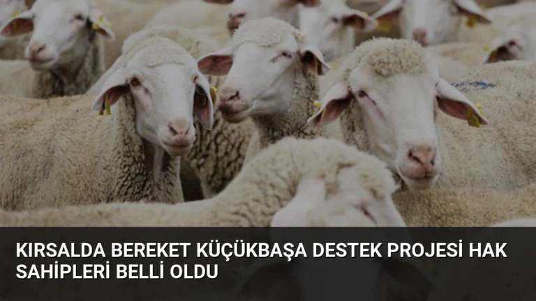 Kırsalda Bereket Küçükbaşa Destek Projesi Hak Sahipleri Belli Oldu
