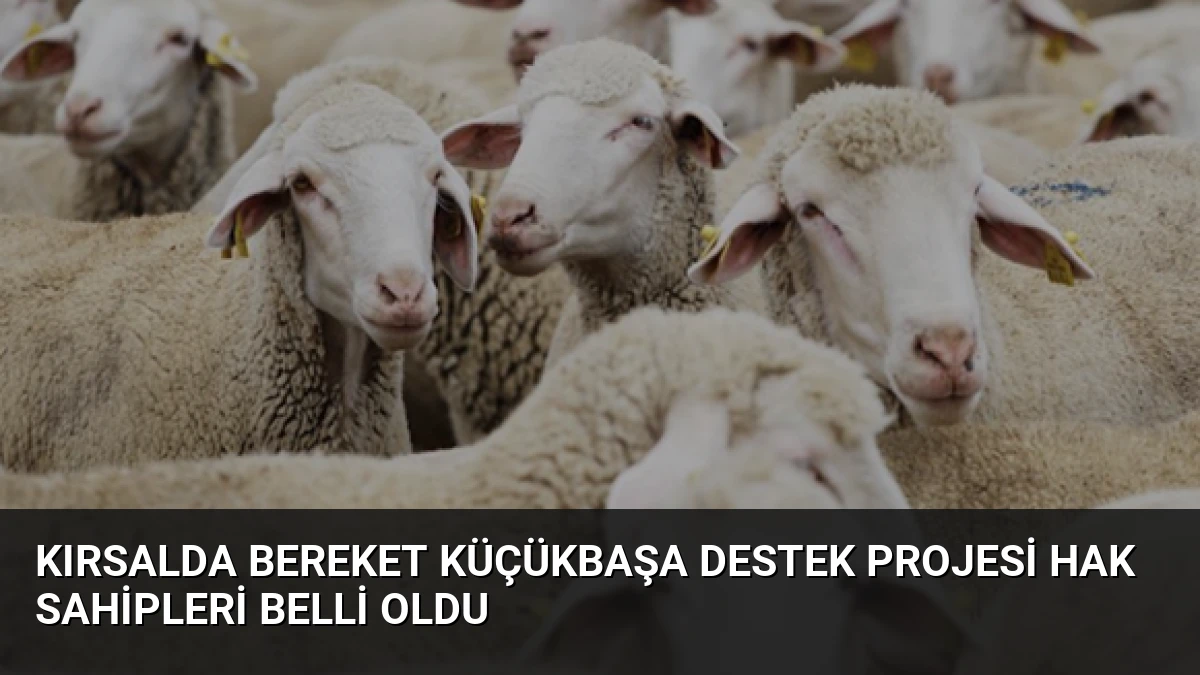 Kırsalda Bereket Küçükbaşa Destek Projesi Hak Sahipleri Belli Oldu