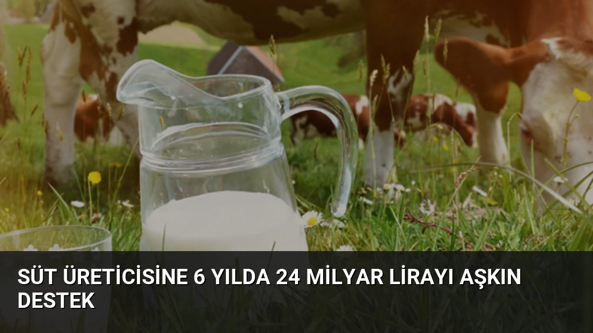 Süt Üreticisine 6 Yılda 24 Milyar Lirayı Aşkın Destek