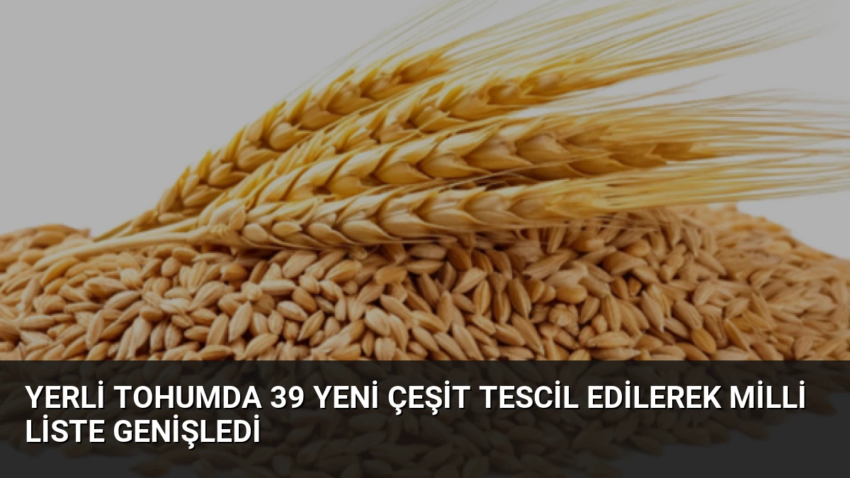 Yerli Tohumda 39 Yeni Çeşit Tescil Edilerek Milli Liste Genişledi