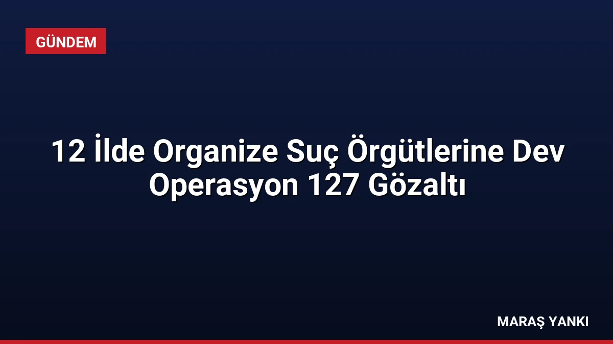 12 İlde Organize Suç Örgütlerine Dev Operasyon 127 Gözaltı
