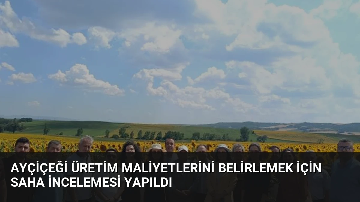 Ayçiçeği Üretim Maliyetlerini Belirlemek İçin Saha İncelemesi Yapıldı