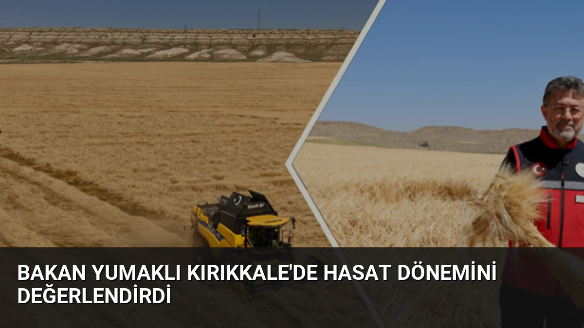 Bakan Yumaklı Kırıkkale’de Hasat Dönemini Değerlendirdi
