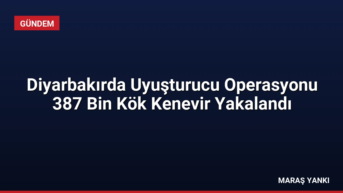Diyarbakırda Uyuşturucu Operasyonu 387 Bin Kök Kenevir Yakalandı