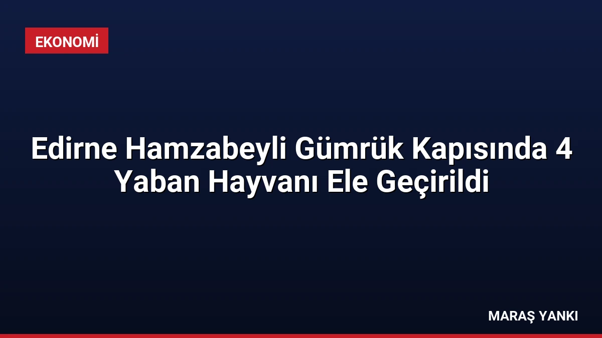 Edirne Hamzabeyli Gümrük Kapısında 4 Yaban Hayvanı Ele Geçirildi