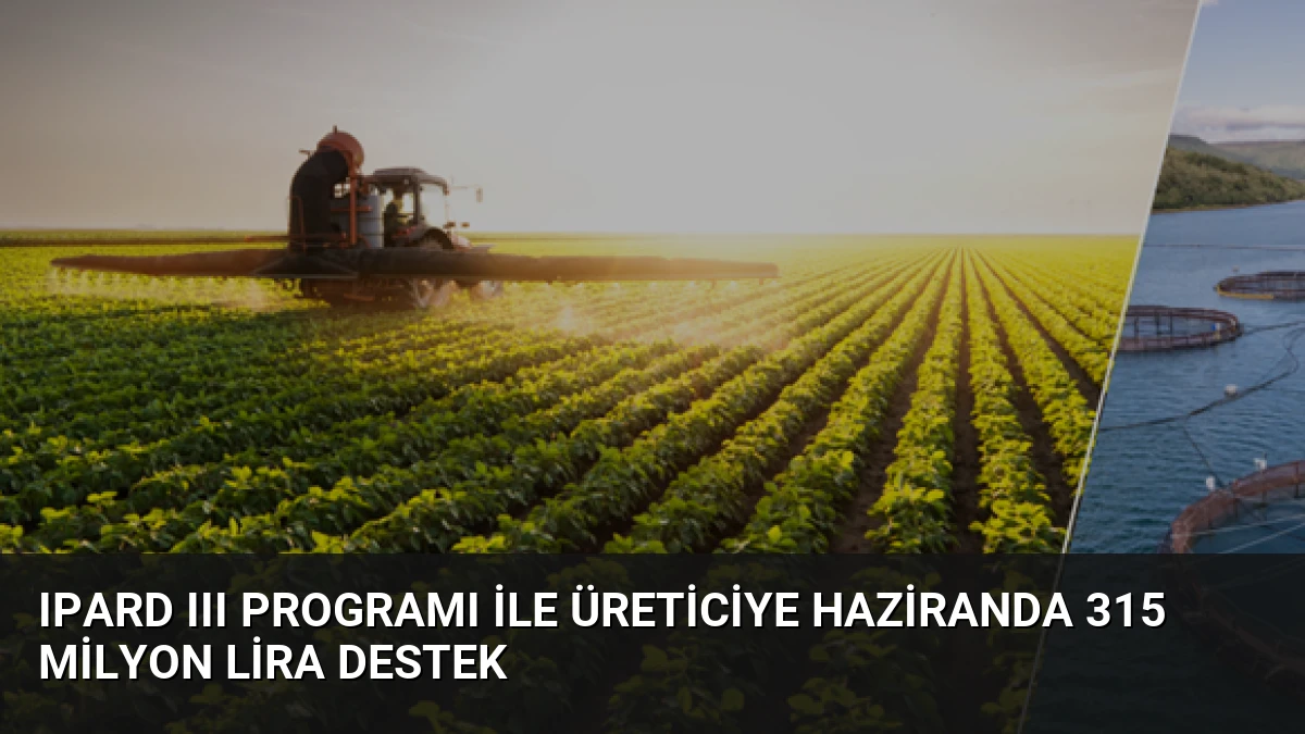 IPARD III Programı ile üreticiye haziranda 315 milyon lira destek