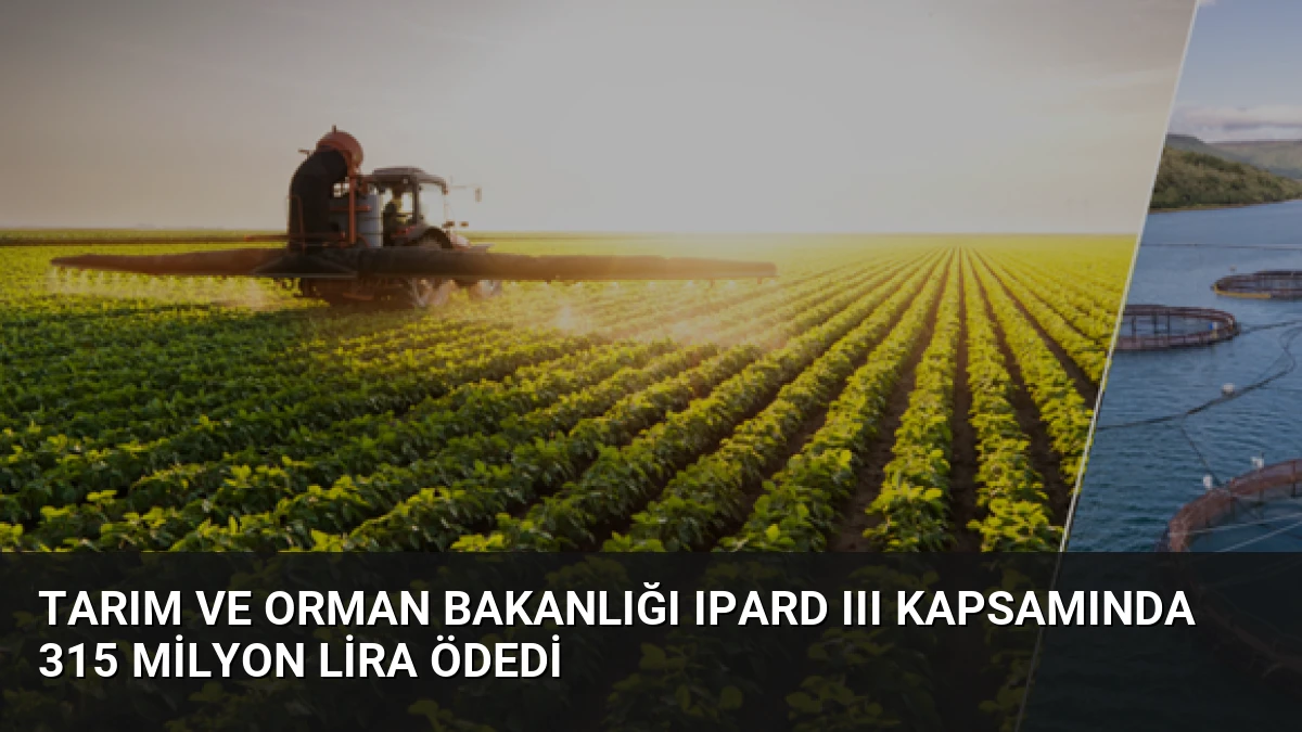 Tarım ve Orman Bakanlığı IPARD III Kapsamında 315 Milyon Lira Ödedi