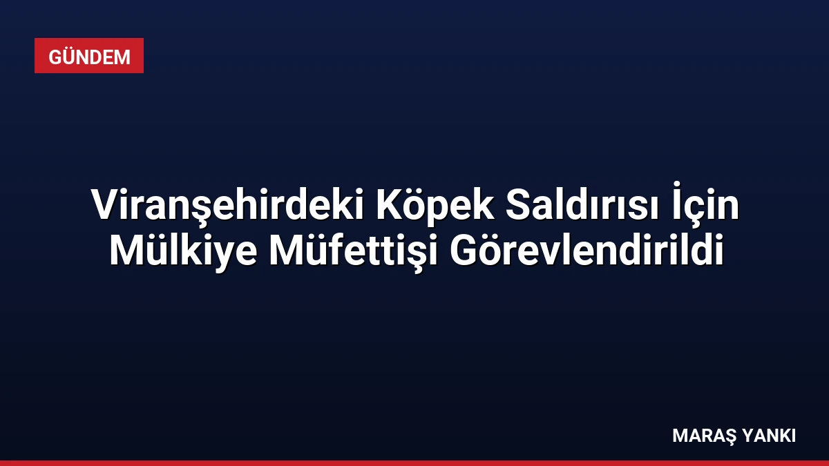 Viranşehirdeki Köpek Saldırısı İçin Mülkiye Müfettişi Görevlendirildi