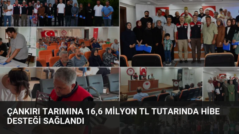 Çankırı Tarımına 16,6 Milyon TL Tutarında Hibe Desteği Sağlandı
