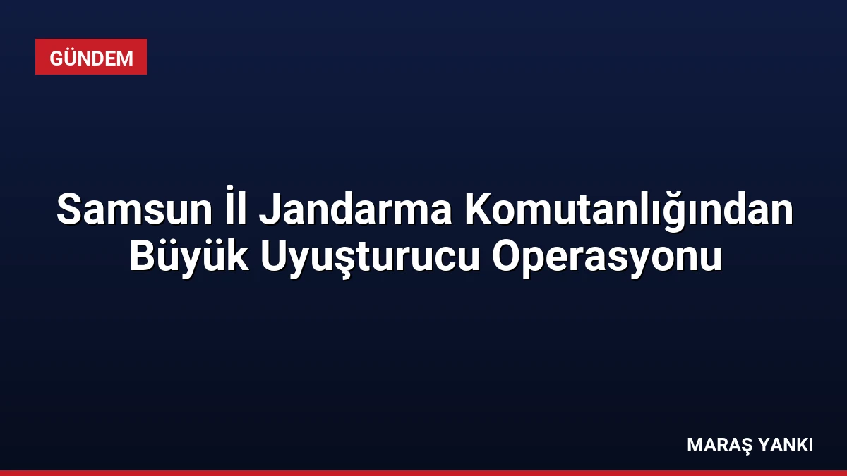 Samsun İl Jandarma Komutanlığından Büyük Uyuşturucu Operasyonu