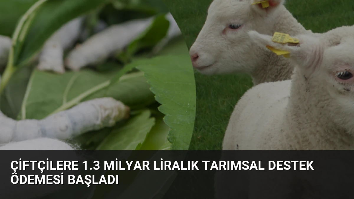 Çiftçilere 1.3 Milyar Liralık Tarımsal Destek Ödemesi Başladı