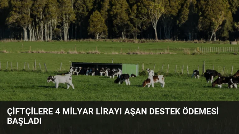 Çiftçilere 4 Milyar Lirayı Aşan Destek Ödemesi Başladı