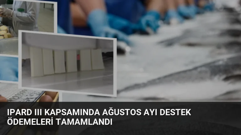 IPARD III Kapsamında Ağustos Ayı Destek Ödemeleri Tamamlandı