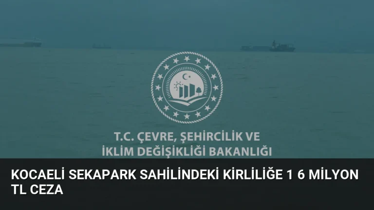 Kocaeli Sekapark Sahilindeki Kirliliğe 1 6 Milyon TL Ceza