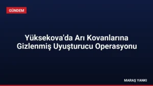 Yüksekova’da Arı Kovanlarına Gizlenmiş Uyuşturucu Operasyonu